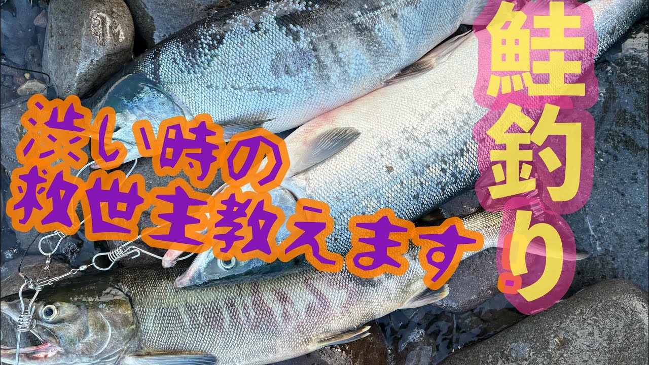 【鮭釣り】渋い時のオススメルアー＆おまじない😆inオホーツク