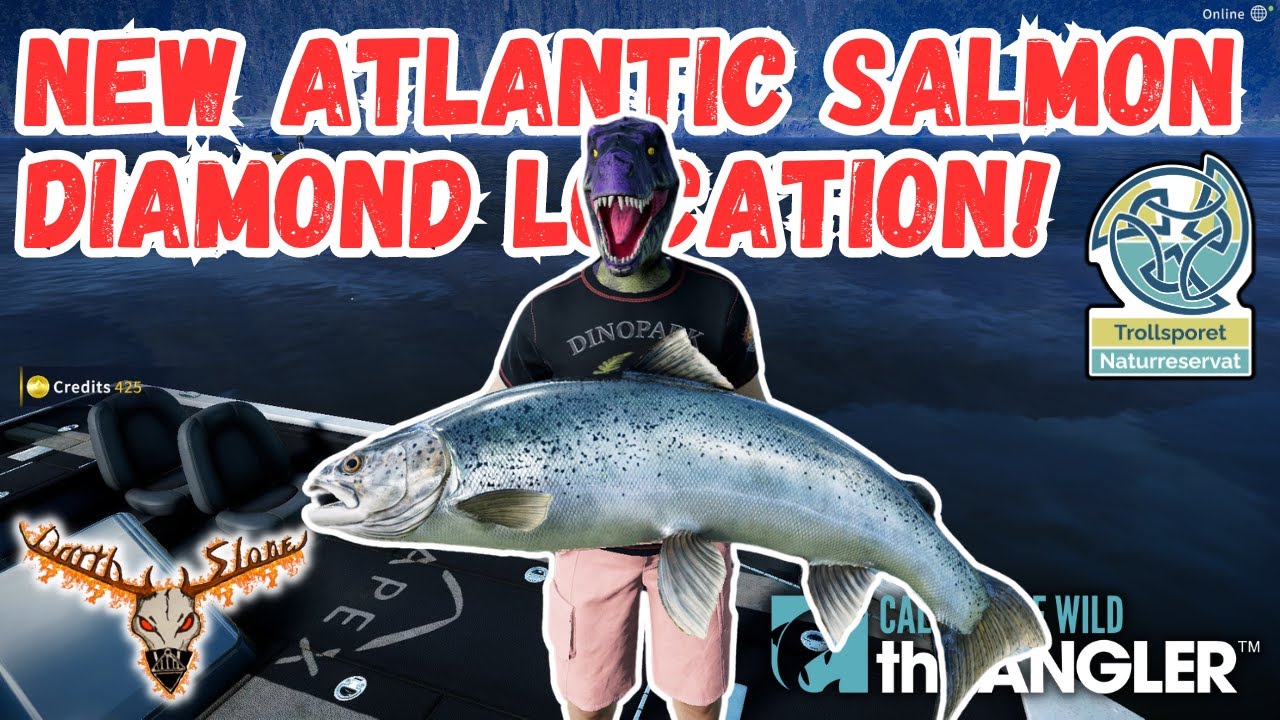 Новое месторождение атлантического лосося — Angler