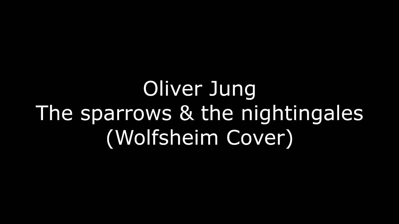 Oliver Jung  - The sparrows & the nightingales  (Wolfsheim Cover)