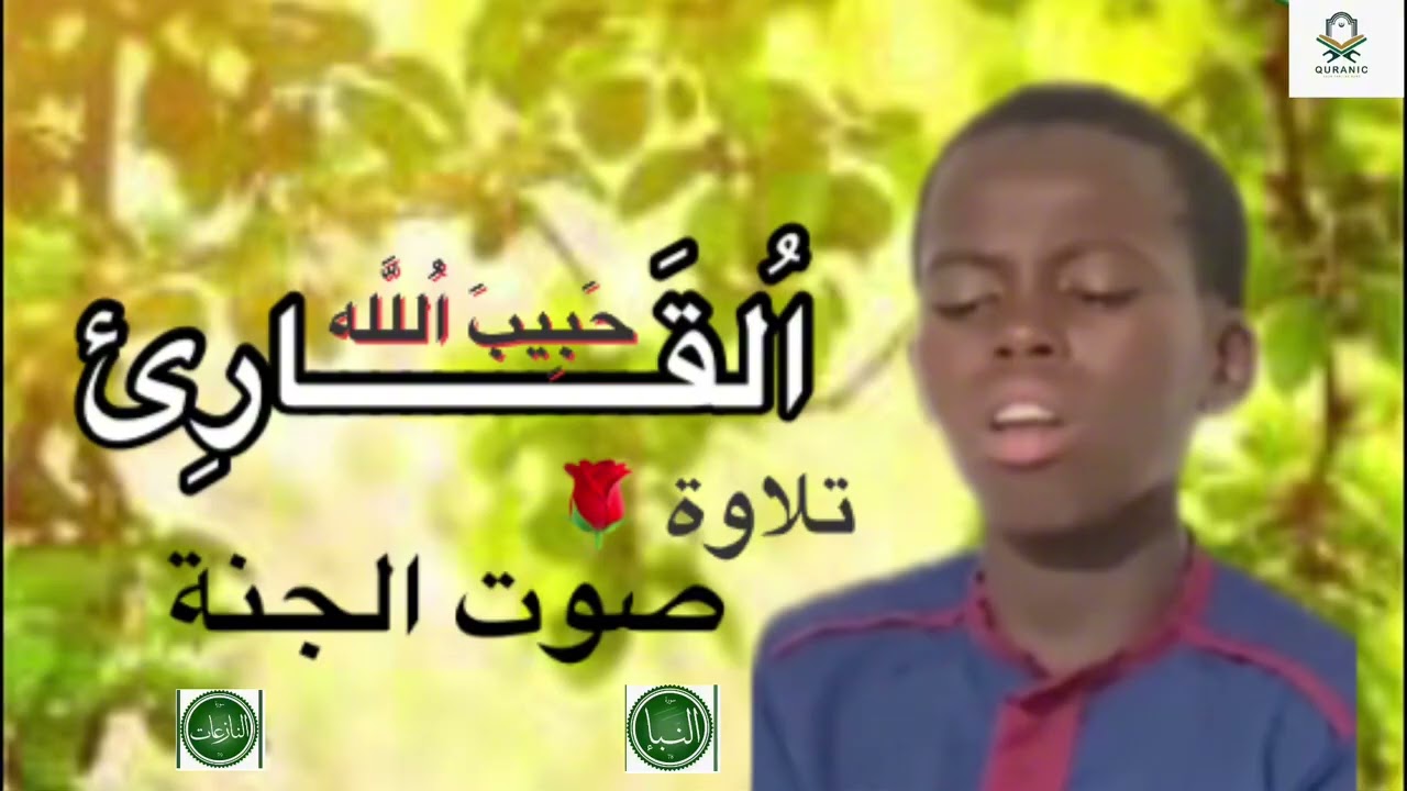 صوت الجنة♥️ سورة النبأ 🌹سورة النازعات 🌹بصوة جميل تلاوة 🌹القارئ حبيب الله 🙋‍♂️