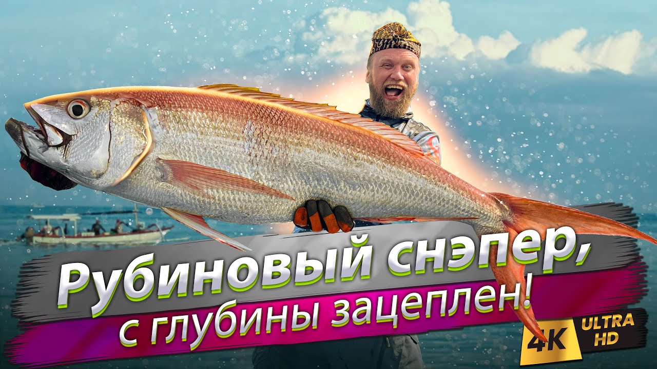 🇮🇩 Что можно поймать на Бали? Глубоководная океаническая рыбалка на рубинового снэпера