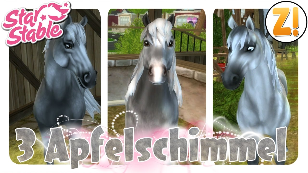 Star Stable: Engl. Vollblut, Isländer und Morgan Apfelschimmel [PFERDEKAUF] | Let's Play [DEUTSCH]