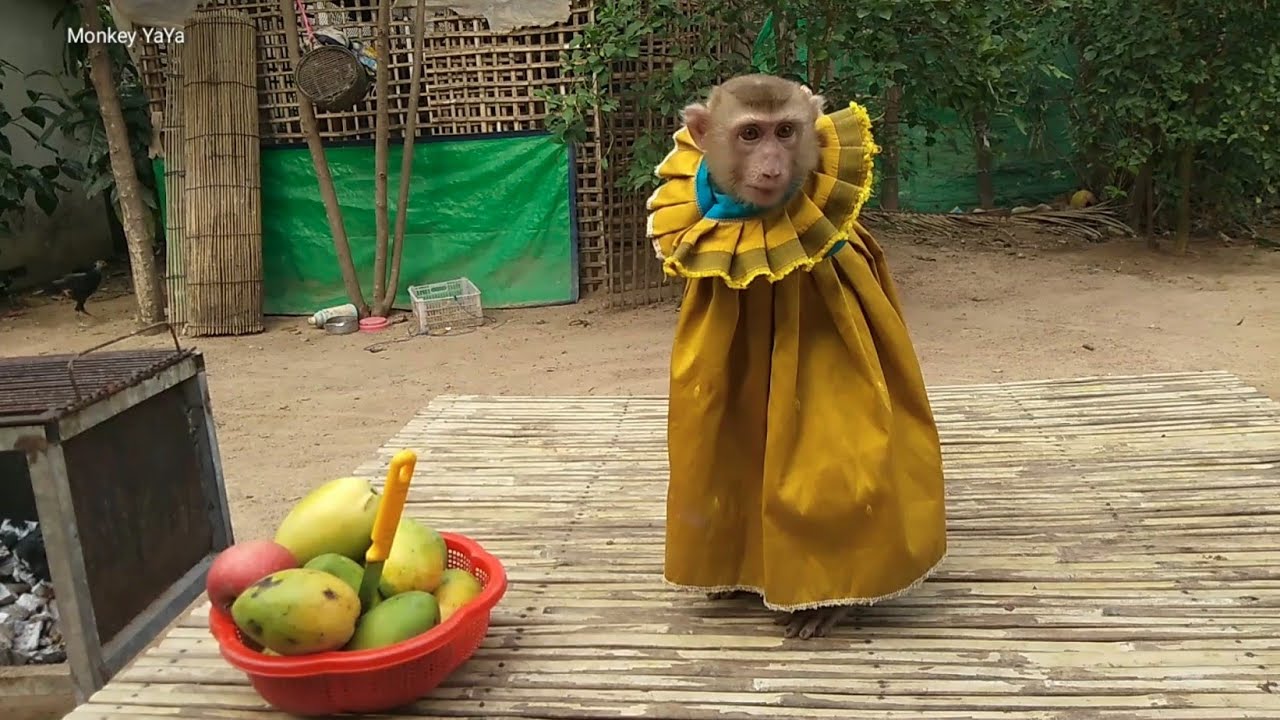My Princess YaYa Is Beautiful Wearing Yellow Dress So Cute