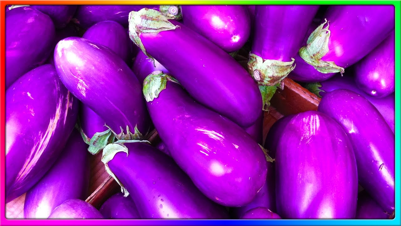 ORGANIC EGGPLANTS (BuzzFeed Quizzes)