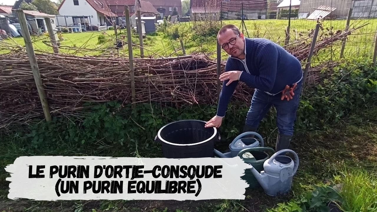 Le Purin Ortie Consoude (Purin Équilibré)