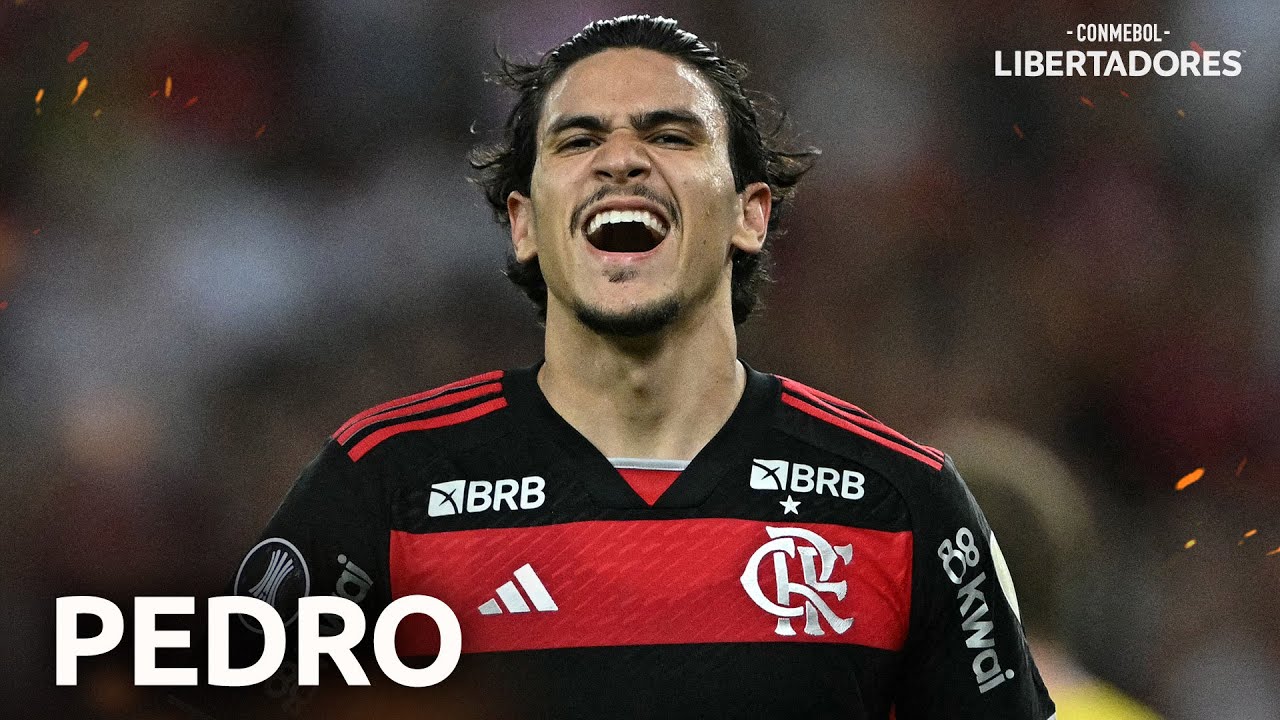 LOS GOLES DE PEDRO, DE FLAMENGO, EN LA FASE DE GRUPOS DE LA CONMEBOL LIBERTADORES 2024