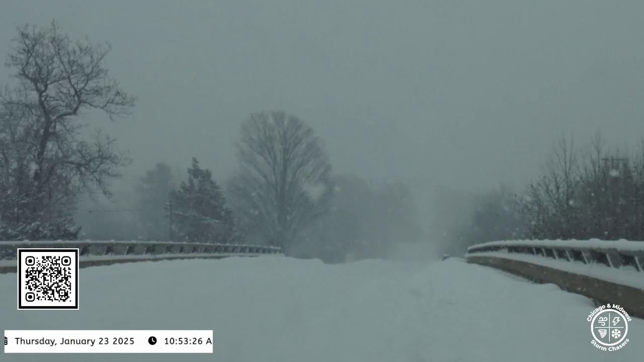 Heavy lake effect across western Michigan! #MIwx.
