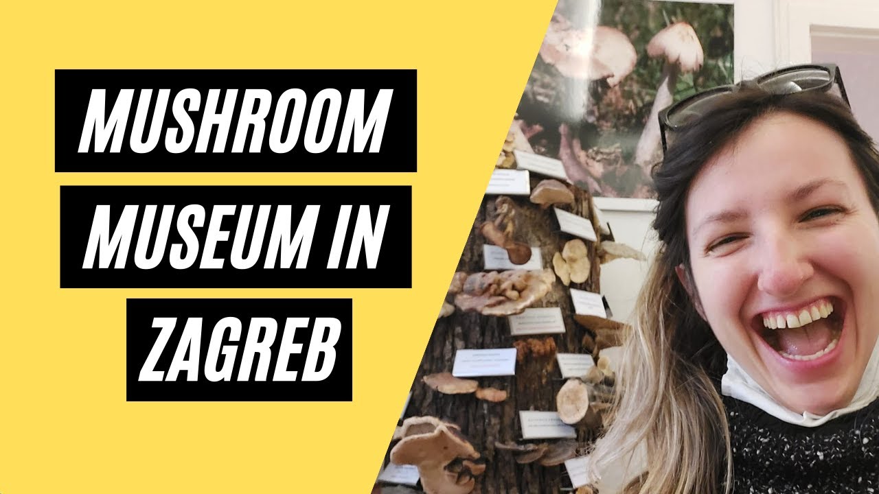 Muzej Gljiva Zagreb | Mushroom Museum in Zagreb