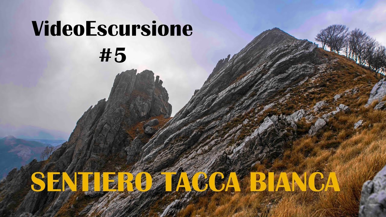Tacca bianca 4k - VideoEscursione #5