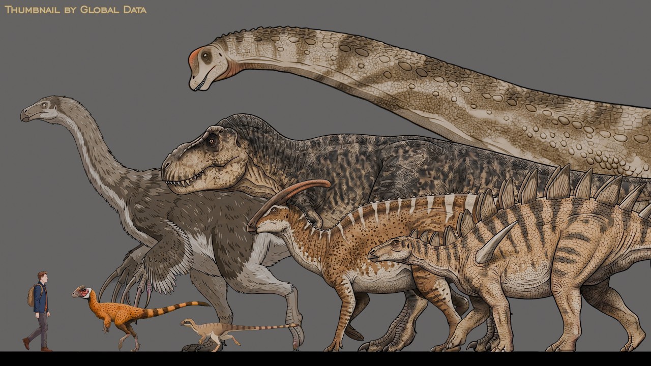 Marching Dinosaurs | Animated Size Comparison