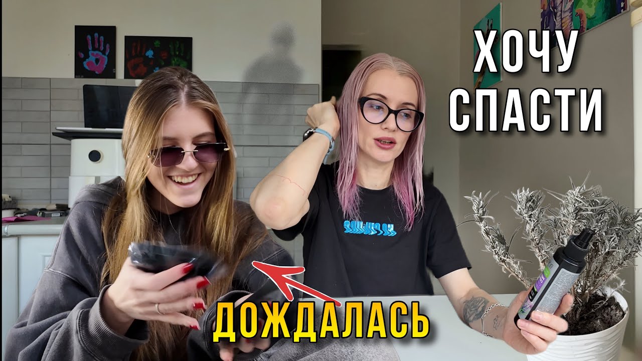 Заселился домовой?! Странный сон и счастливая Кира