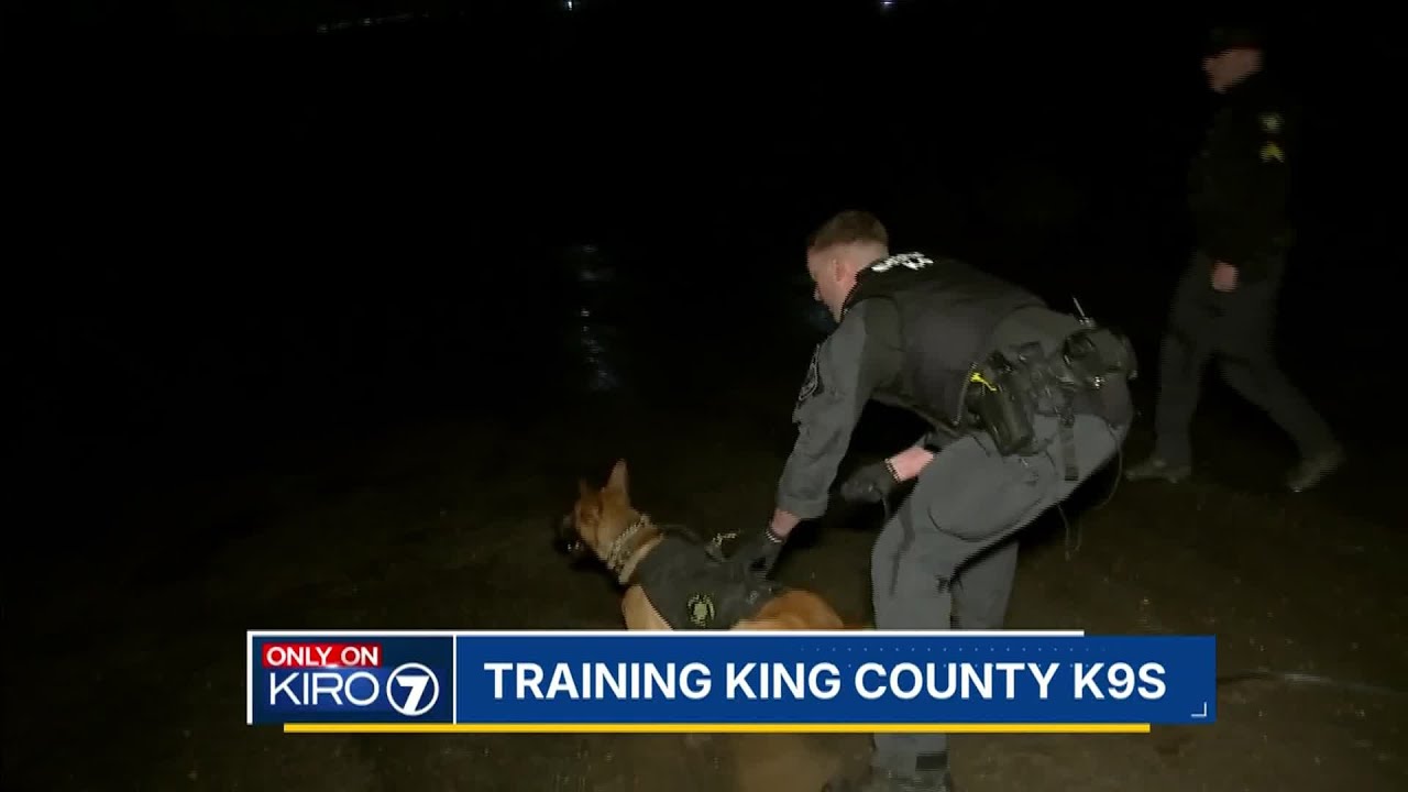 Training police K9s in King County
