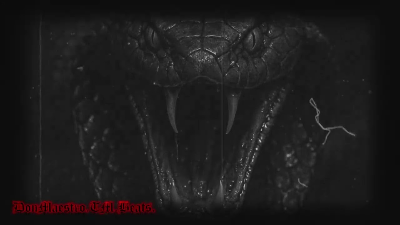 Trap Type Beat | 148 BPM | Dark Trap Beat | Cm | Cobra