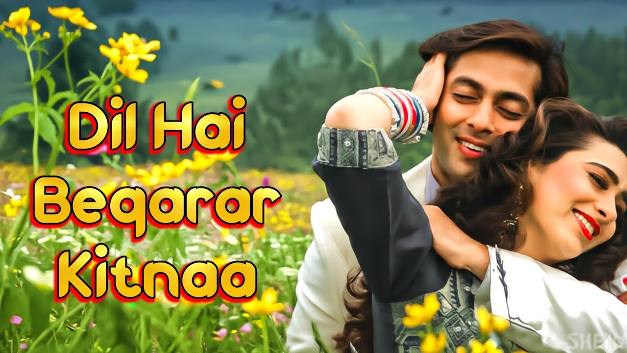 Dil Hai Beqarar Kitna | Old Hindi Romantic Song | 90s Romantic Song Hindi 