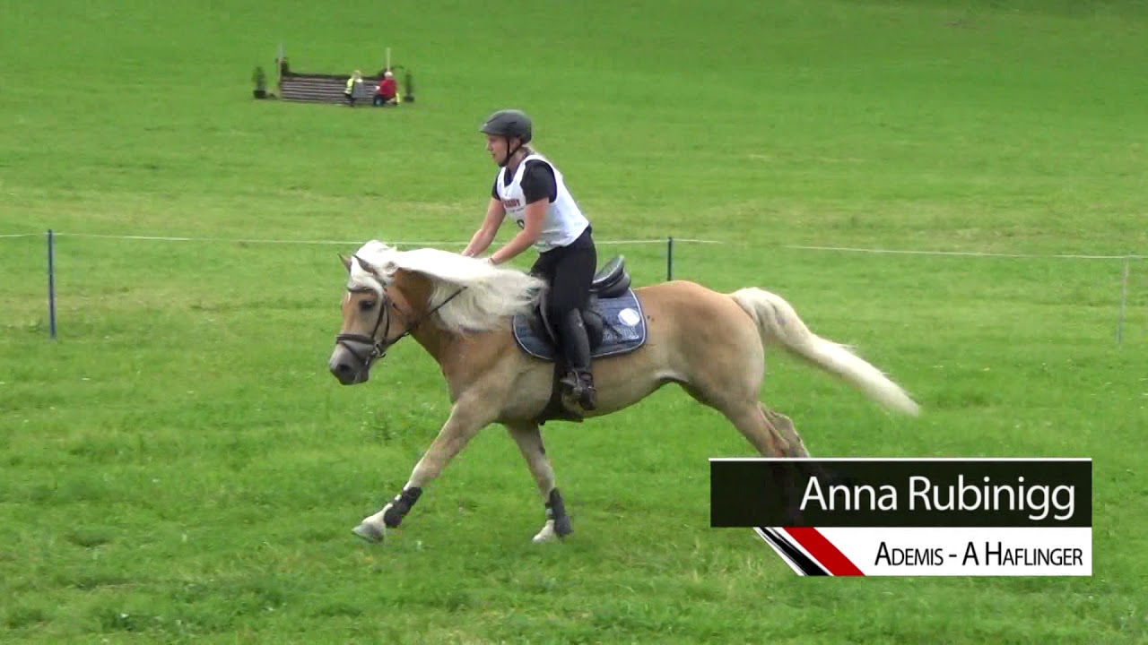Anna Rubinigg - Ademis - A Haflinger - Olachgut 2018