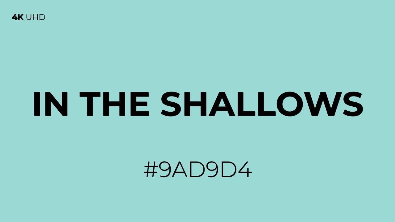 In the Shallows Screen - Professional Calibration Reference - (#9AD9D4) - RGB(154, 217, 212)