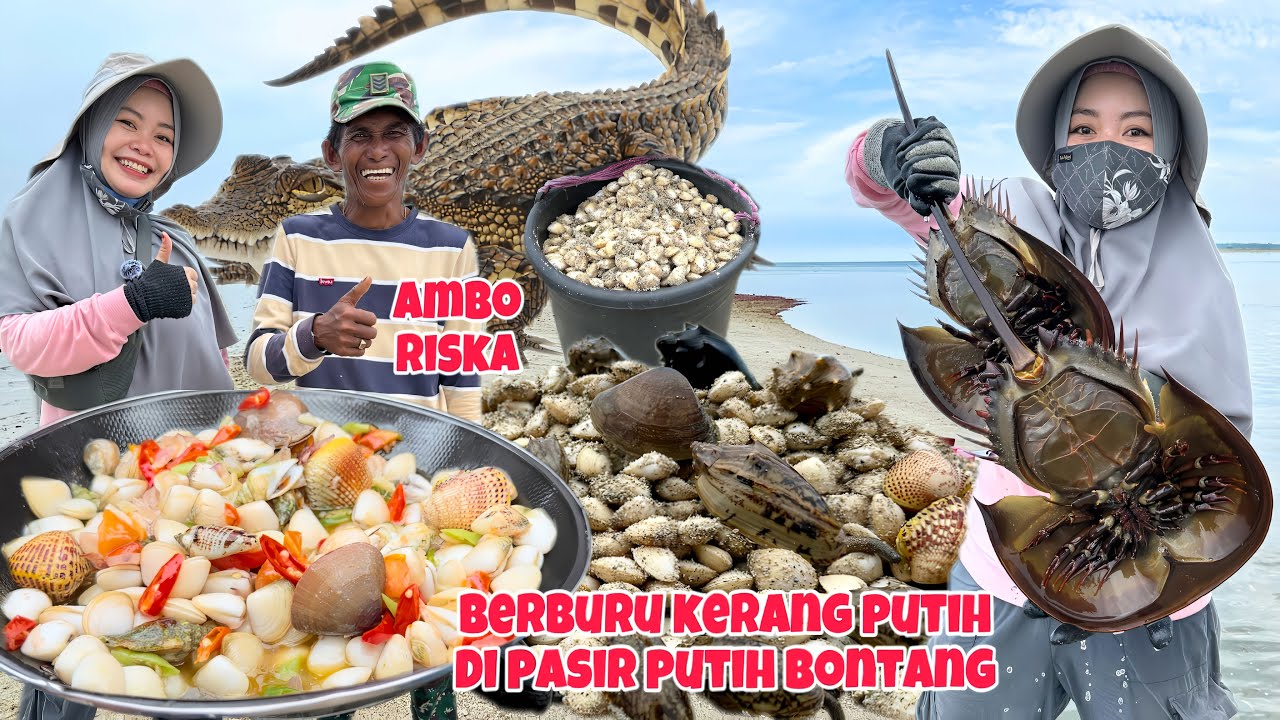 TRIP TO BONTANG‼️Berburu Kerang Putih Bersama Pak Ambo Riska