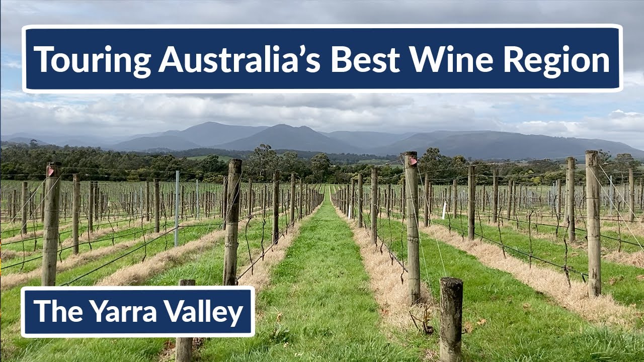 Visiting Australia&rsquo;s Best Wine Region, Yarra Valley Travel Vlog, Wines better than Yellow Tail