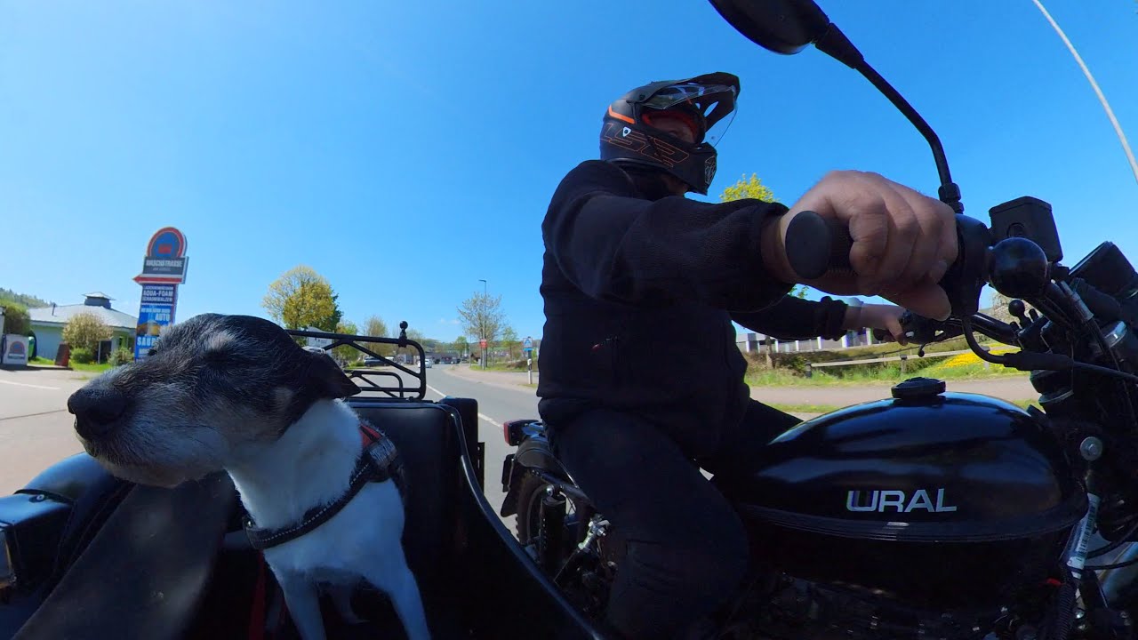 Ural Gespann  Kleine Runde im Weserbergland mit Goofy. #insta360onex2