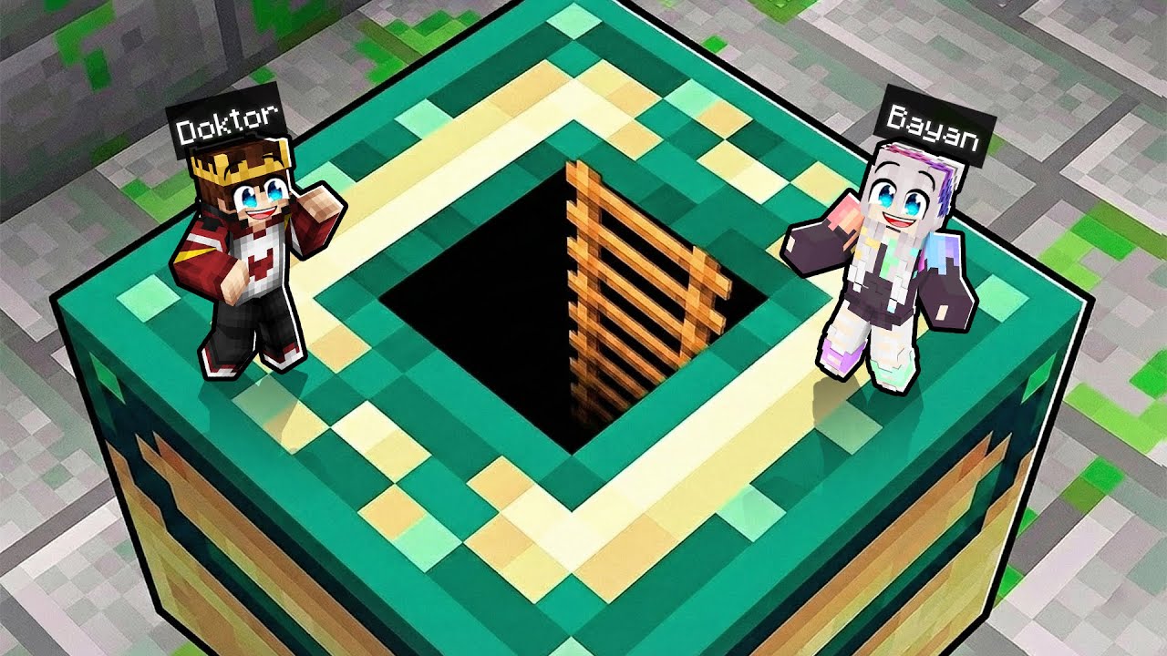 Minecraft ama HER BLOĞUN İÇİNE GİREBİLİYORUM