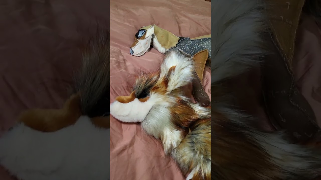 I made fox plushies! #furry #handmadeplushies #fursuit