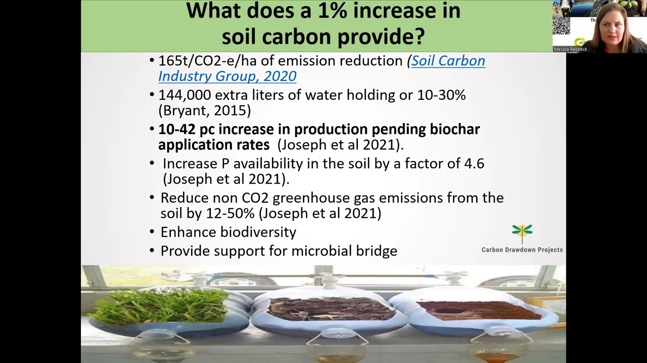Brilliant Biochar