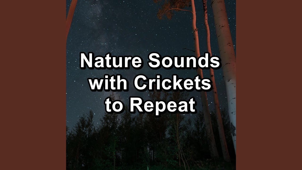 Cricket Sound for 8 hours to Loop