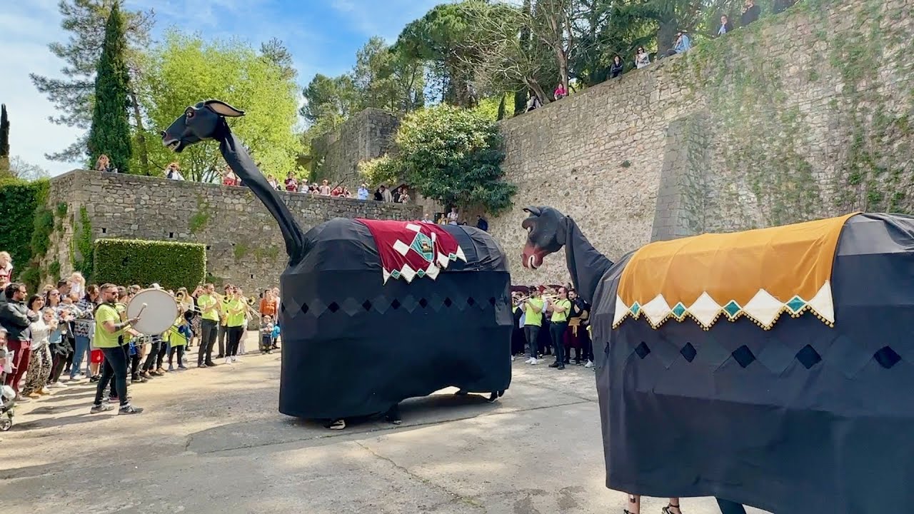 La MULA BABA i la MULA PETITA - Trobada de MULASSES - Festes de Primavera (Girona 2023)