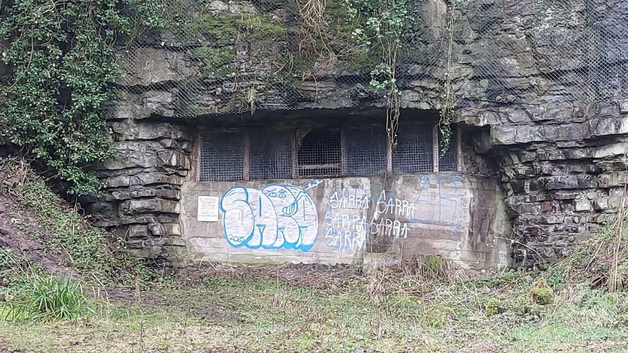 We found an ABANDONED WW2 bunker