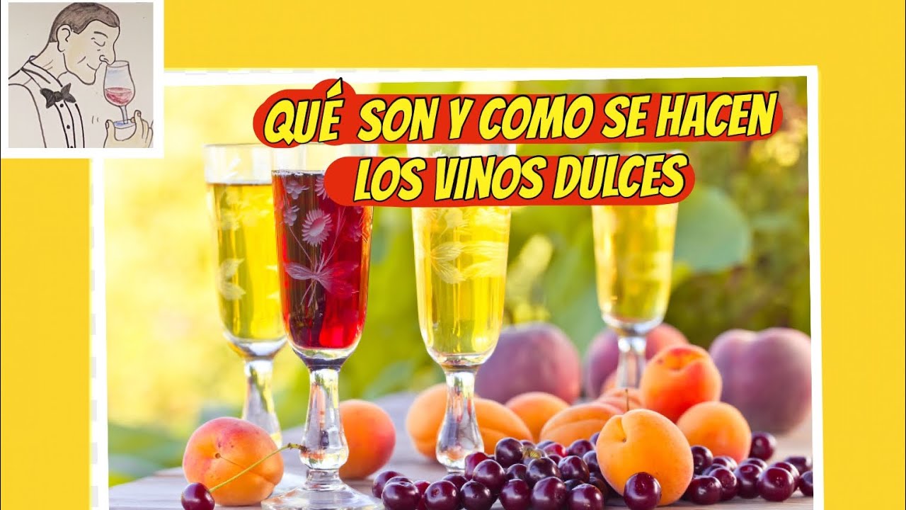 (28) QU&Eacute; SON Y COMO SE HACEN LOS VINOS DULCES.