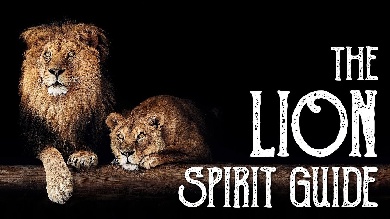 The Lion Spirit Guide - Ask the Spirit Guides Oracle Totem Animal - Power Animal - Magical Crafting