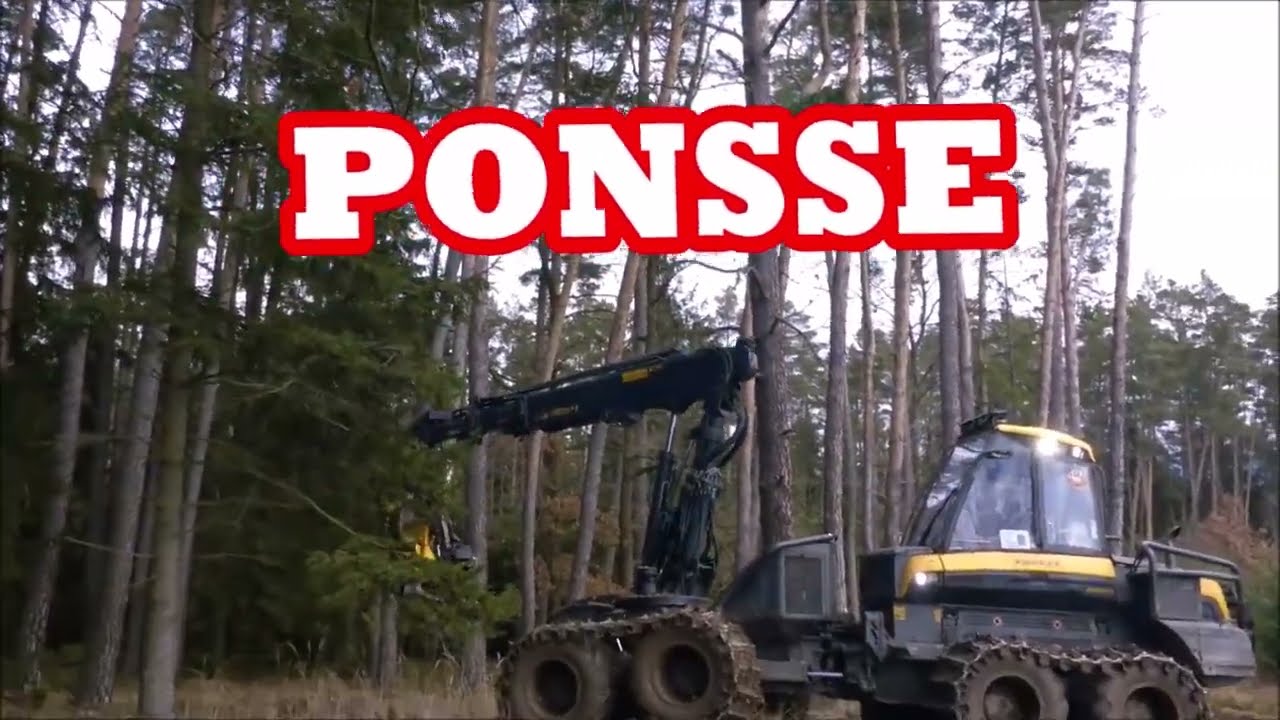 Forest job / Těžba dřeva a Harvestor Ponsse Ergo 8W v akci #448