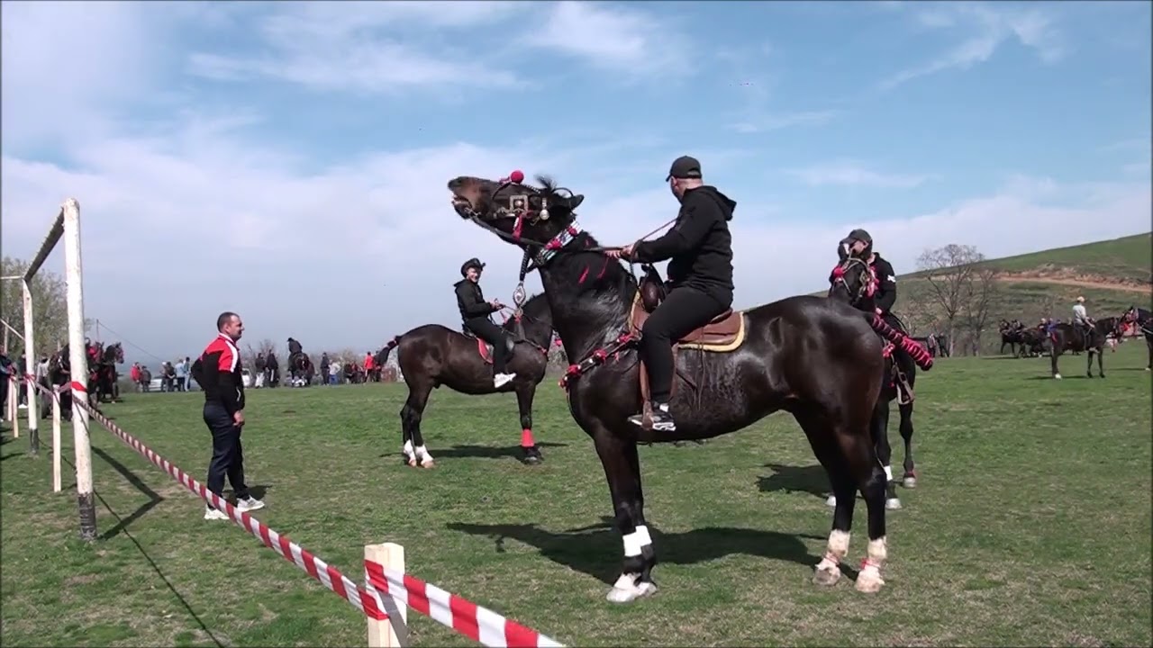 Празник на коневъда в Никопол - 2023