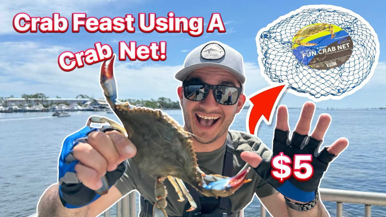 Crab “Catch and Cook” Using a $5 Net!🦀🎣