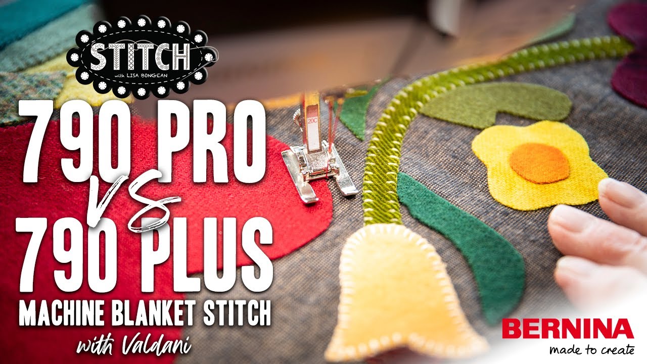 790 Pro vs 790 Plus Blanket Stitch with Valdani | Barb | Lisa Bongean | Primitive Gatherings