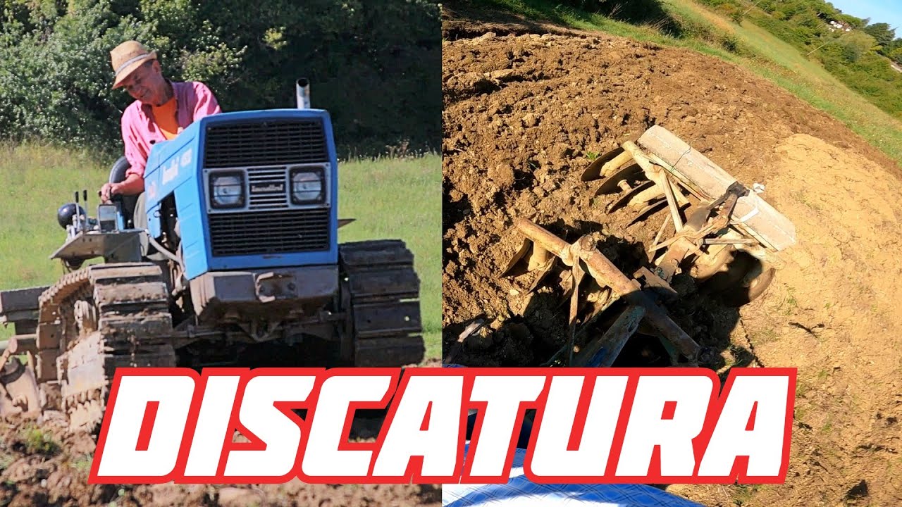 Erpicatura 2025 con Landini 4500 e Erpice 16 dischi Cantone - Preparazione letto di semina 