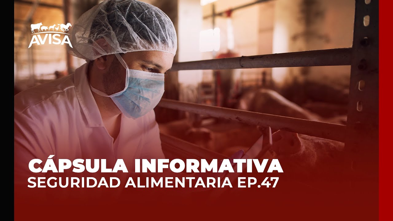 Cápsulas Informativas AVISA - Ep. 47: Seguridad Alimentaria