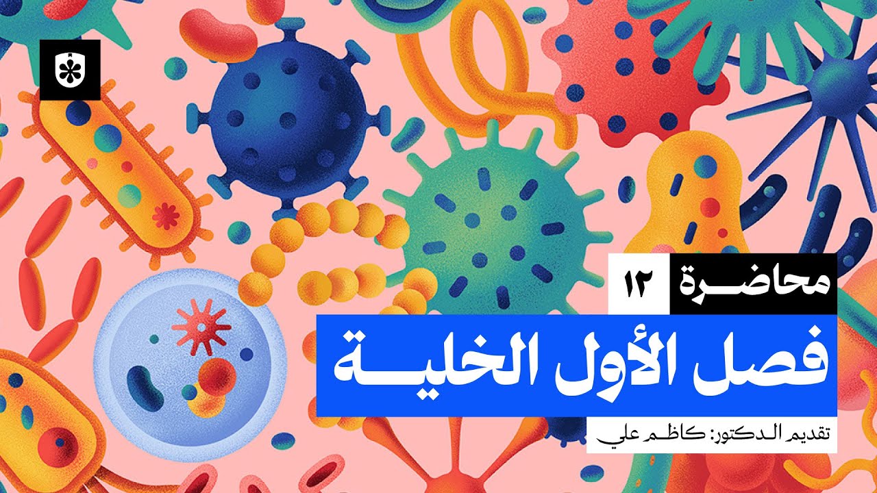 الانقسام الغير المباشر الخيطي| محاضرة 12 | أحياء السادس العلمي فصل الاول