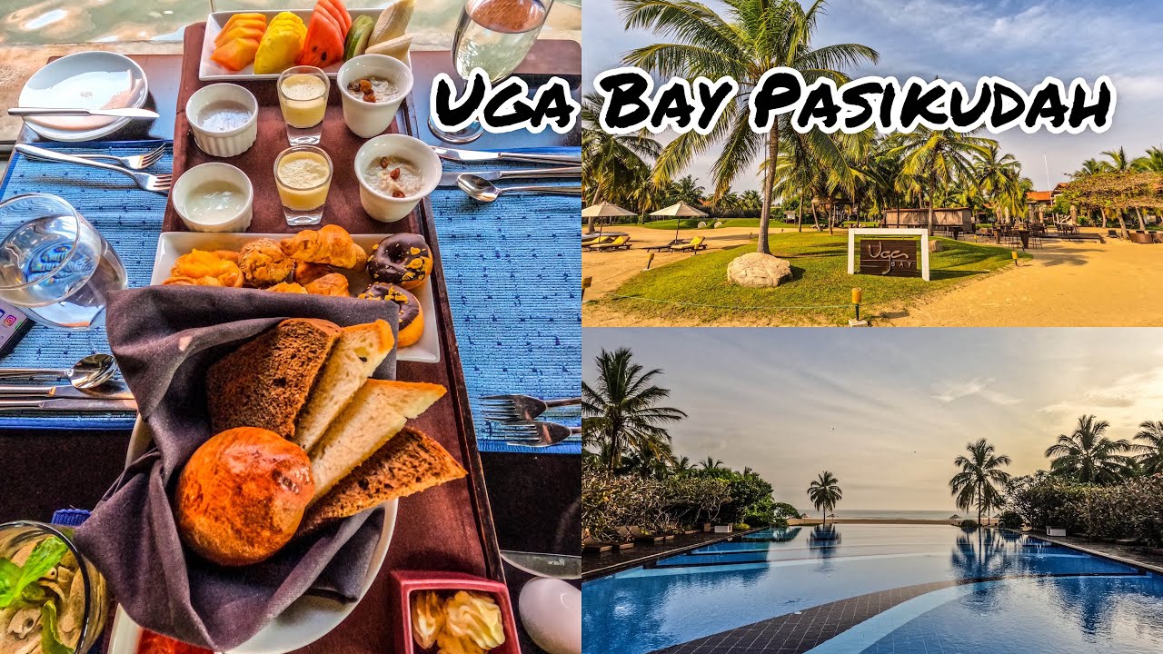 You need to come here if you are in Sri Lanka!! Uga Bay Sri Lanka 🇱🇰