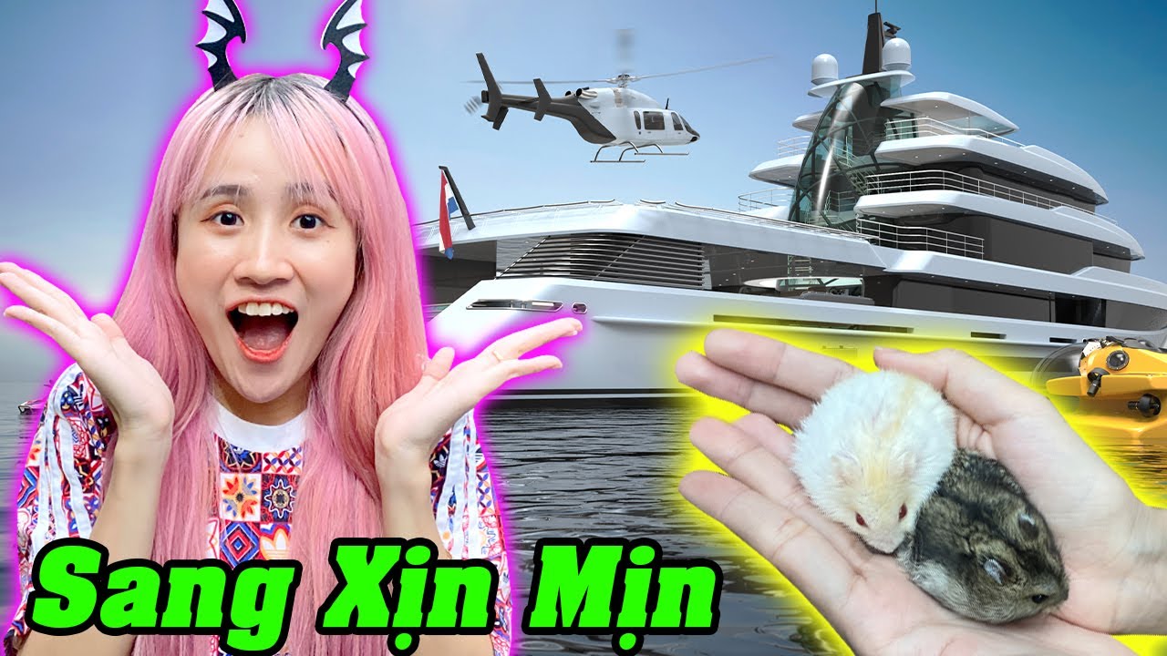 Chế Tạo Du Thuyền Cho Chuột Hamster - Vê Vê Animal