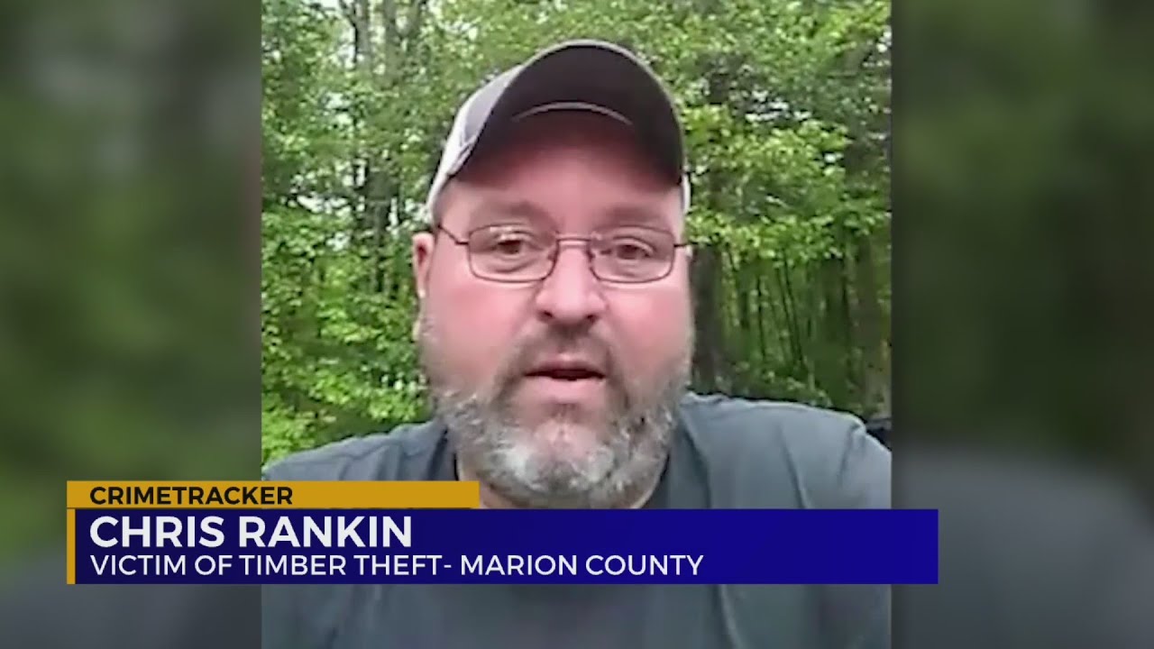 Speaking with a victim of timber theft in Tennessee