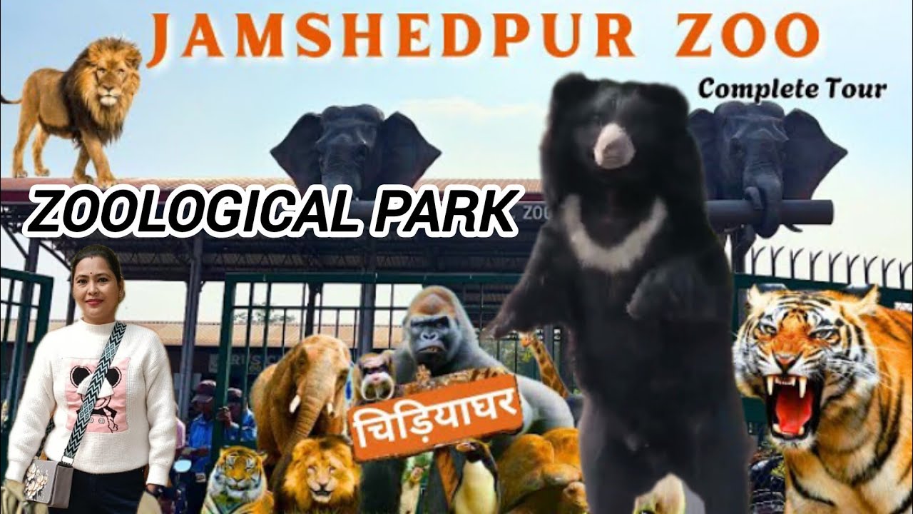 Jamshedpur Zoo | Tata Steel Zoological Park Jamshedpur | Best Zoo In Jamshedpur