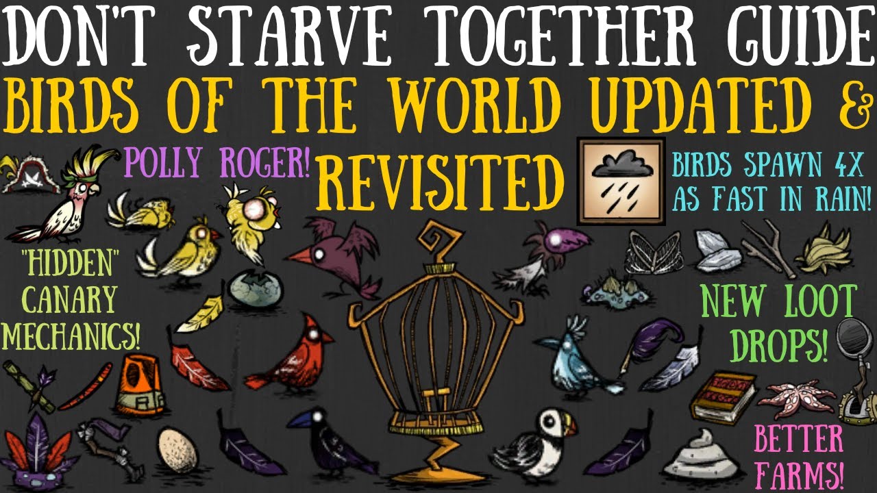 Birds Updated & Revisited! New Types, Crafts, Mechanics & More! - Don't Starve Together Guide