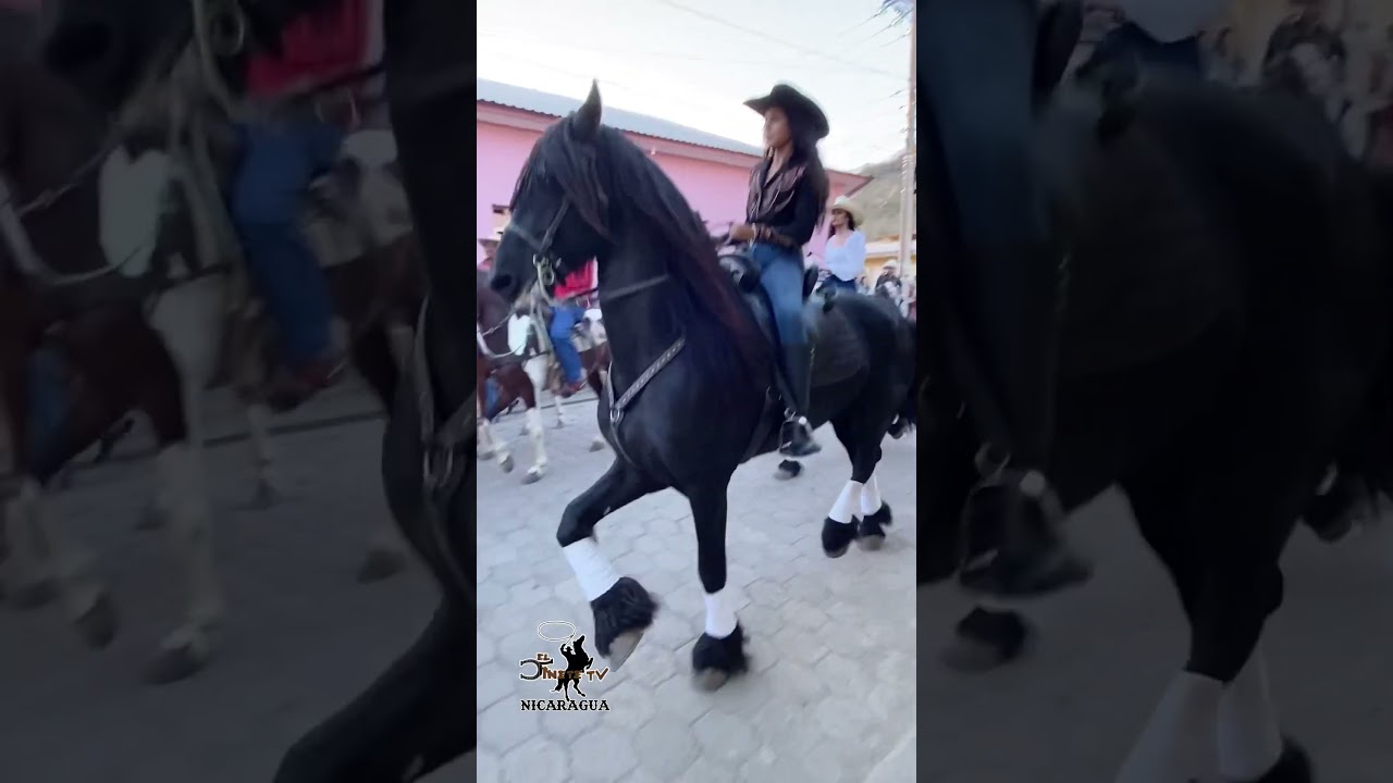 Amazona muy empoderada en su caballo frison👏🏻 desde desfile h&iacute;pico la Trinidad Estel&iacute; Nicaragua✍️