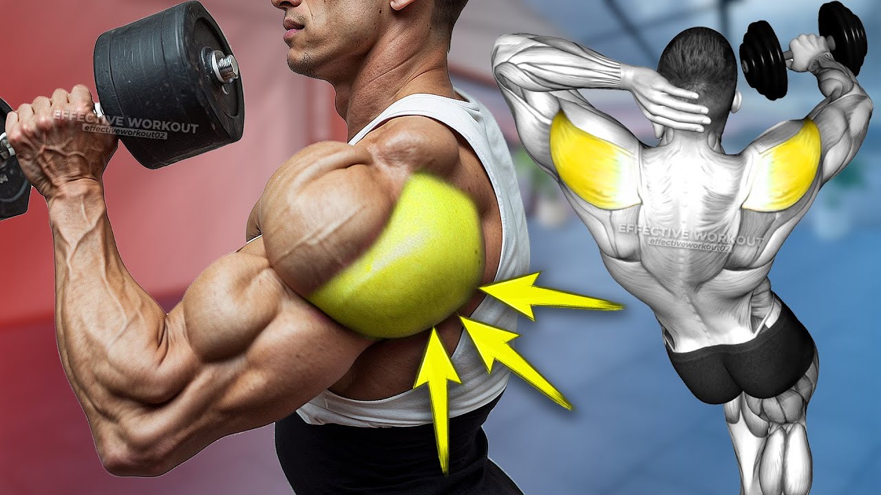 5 Best Rear Delt Exercise (BOULDER SHOULDERS)