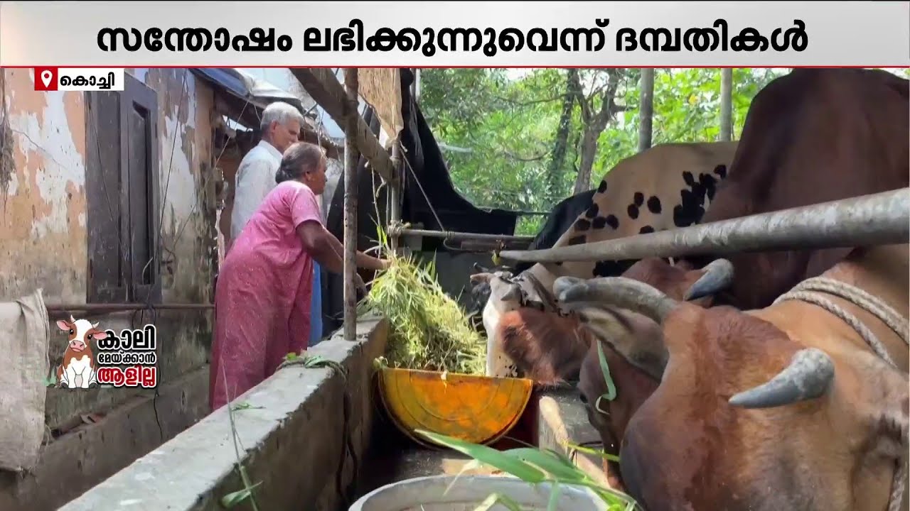 'ഇതില്ലെങ്കിൽ ഞങ്ങൾ രോഗികളായിപ്പോകും.. തീറ്റവില കൂടിക്കൊണ്ടിരിക്കുന്നതാണ് പ്രശ്നം' | Dairy Farmers