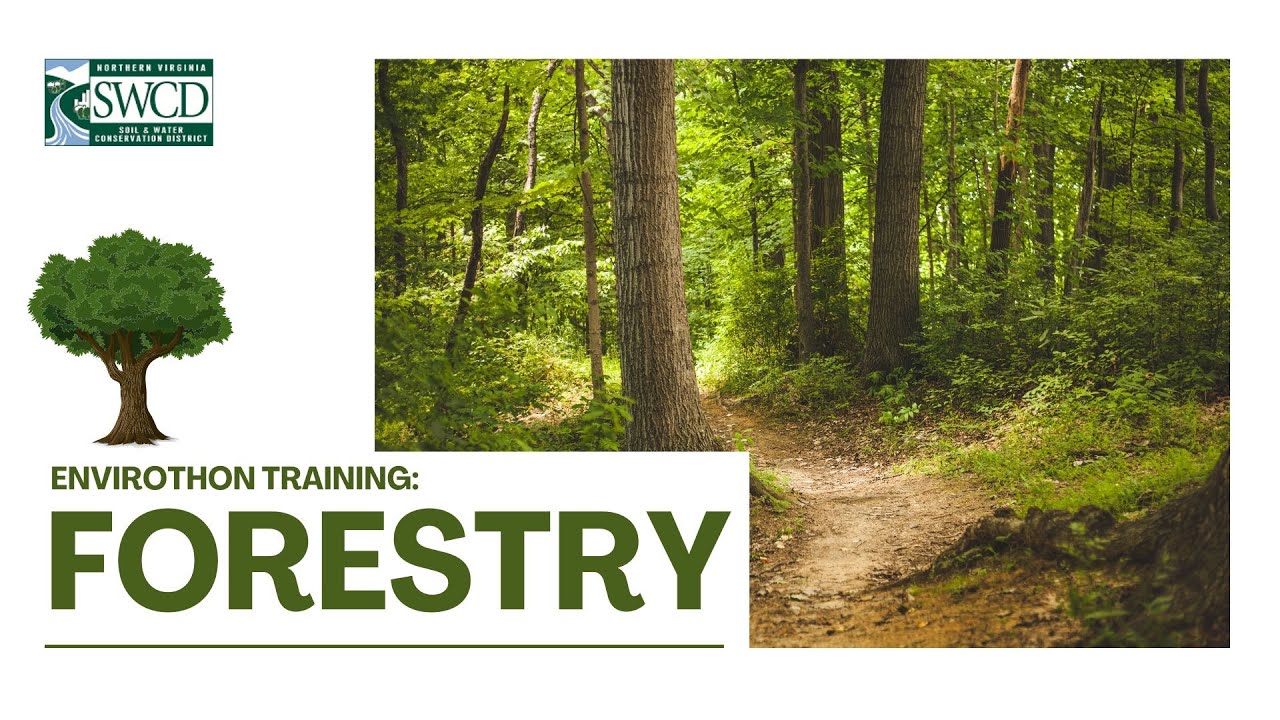 Forestry Training - 2024 Envirothon