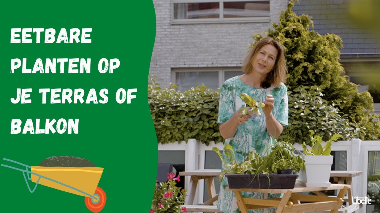 Eetbare planten: 3 ideetjes voor op je terras of balkon