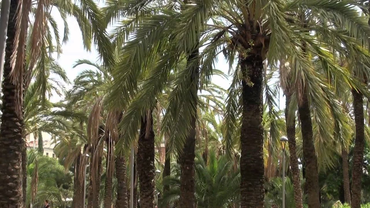 Parc de Joan Mir&oacute; (Barcelona)