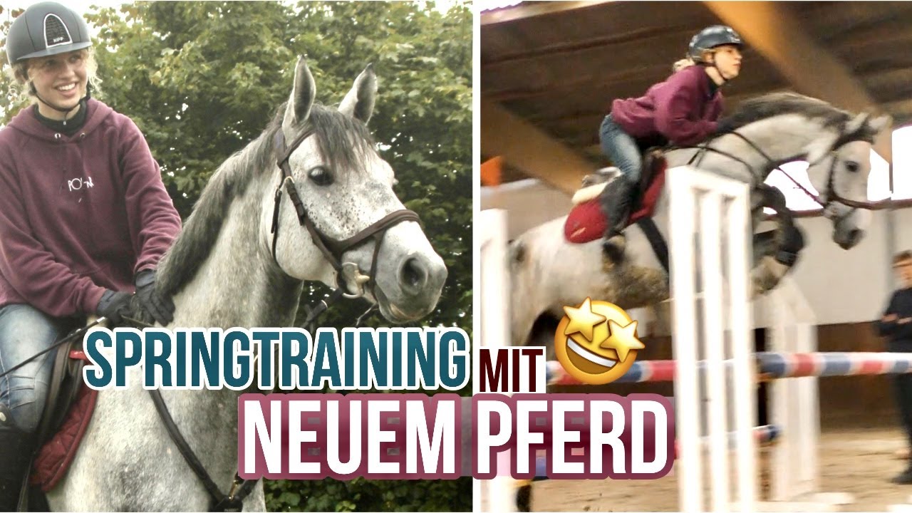 SPRINGTRAINING mit Claire 🤩✨ - FMA am Stall | Fayvouritehorse